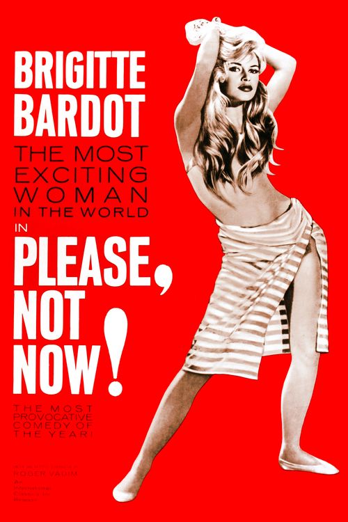 Please, Not Now! Poster