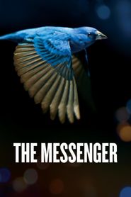  The Messenger Poster