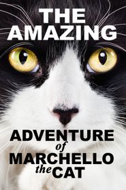  The Amazing Adventure of Marchello the Cat Poster