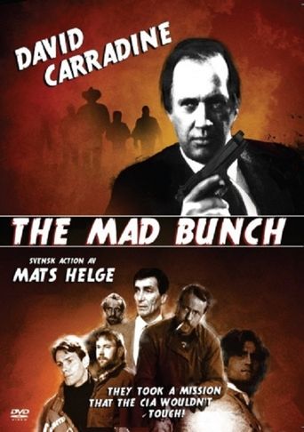  The Mad Bunch Poster