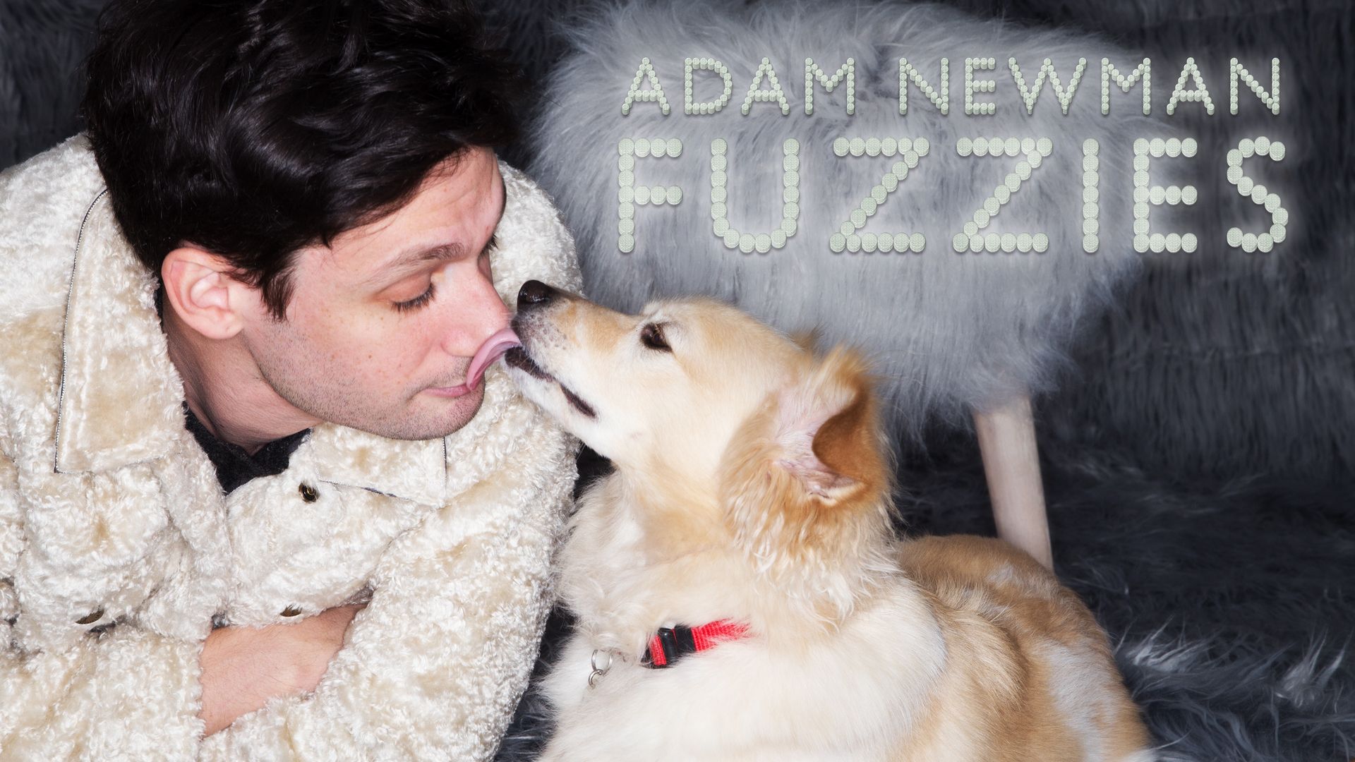 Adam Newman: Fuzzies Backdrop