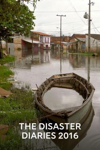2016 the Disaster Diaries Poster