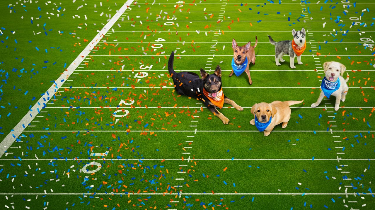 Puppy Bowl Presents 20 Years of Puppies (2024) Where to Watch and