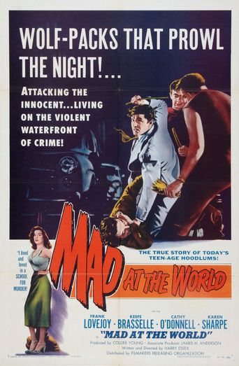  Mad at the World Poster