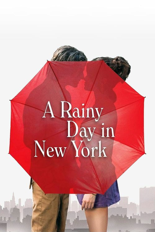 A Rainy Day in New York Poster