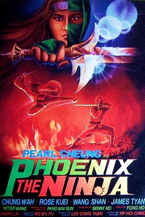 Phoenix the Ninja Poster