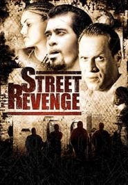 Street Revenge Poster