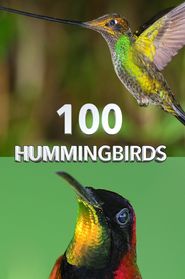  100 Hummingbirds Poster