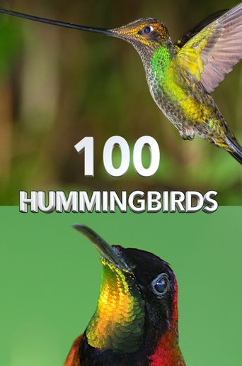 100 Hummingbirds (2021): Where to Watch and Stream Online | Reelgood