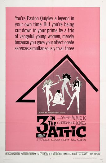  Three in the Attic Poster