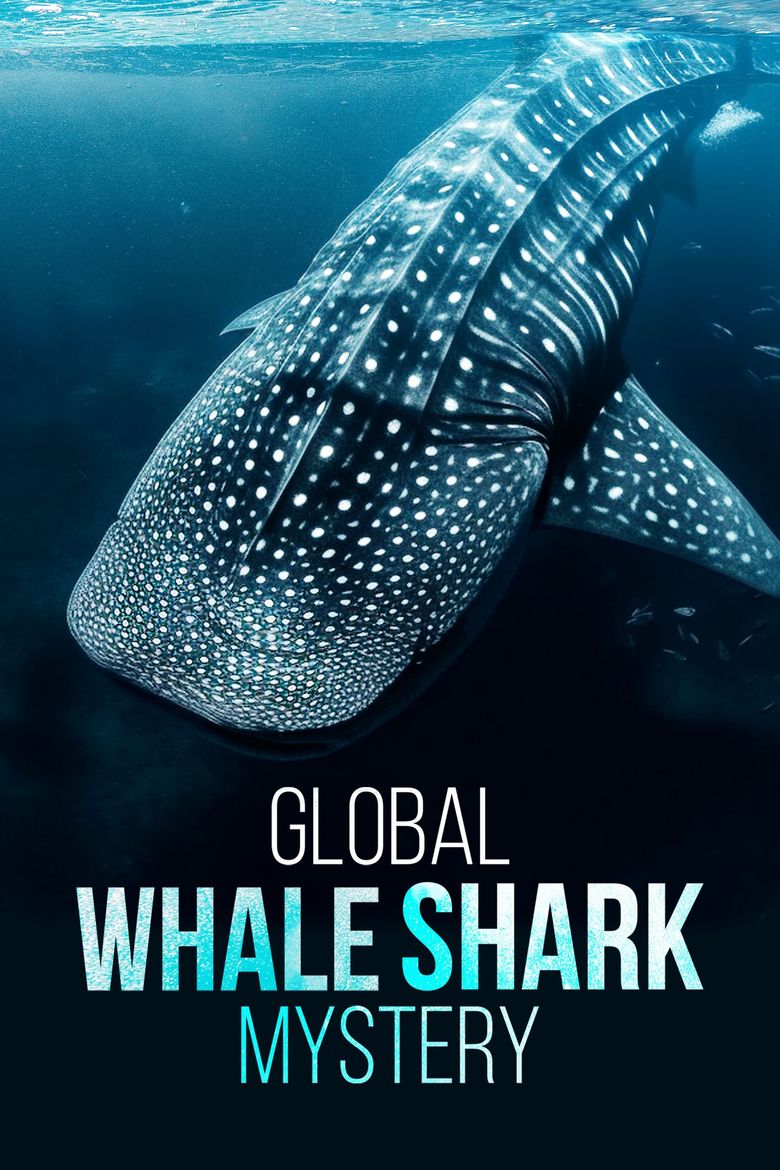 The Global Whale Shark Mystery