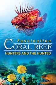  Fascination Coral Reef 3D: Hunters & the Hunted Poster