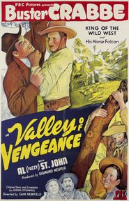  Valley of Vengeance Poster
