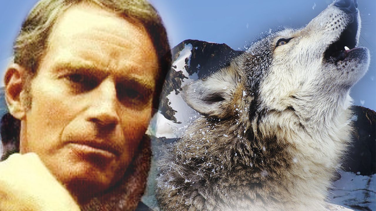 The Call of the Wild (1976): Where to Watch and Stream Online | Reelgood