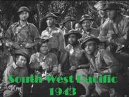  South West Pacific Poster