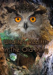  Wildlife's Rebirth in the Old Mine Poster