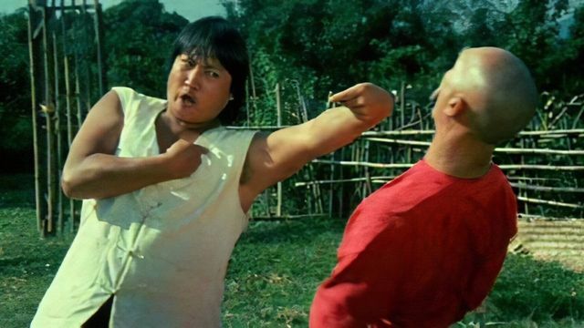 Xing mu zi gu huo zhao Backdrop