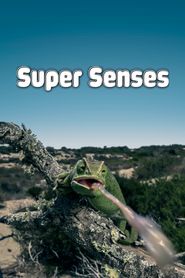  Super Senses Poster
