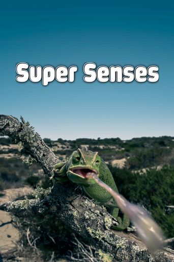  Super Senses Poster