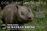  Operation Sumatran Rhino Poster