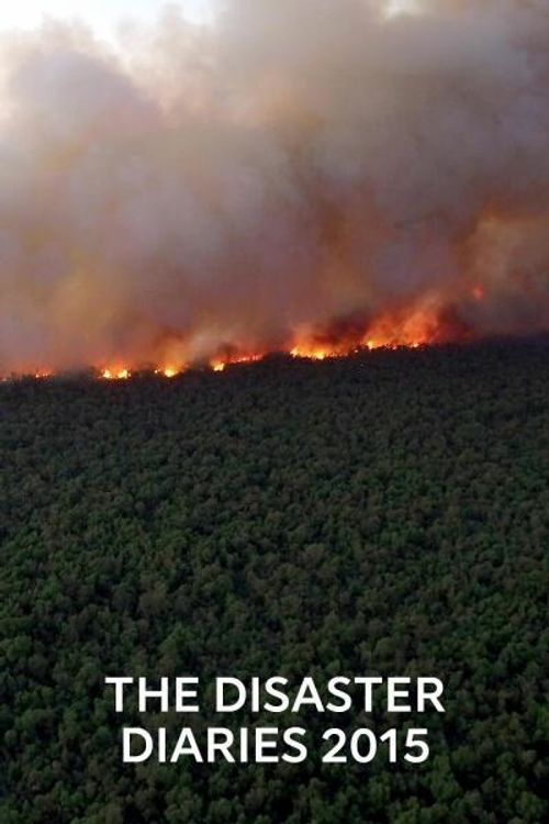 2015: The Disaster Diaries Poster