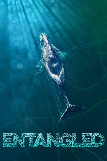  Entangled: The Race to Save Right Whales from Extinction Poster