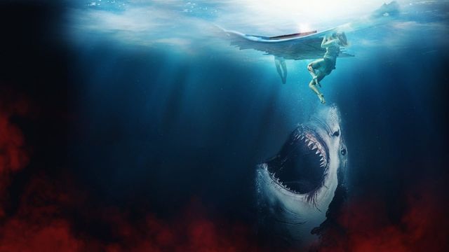 The Requin Backdrop