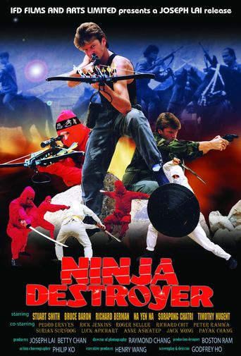 Ninja Destroyer Poster
