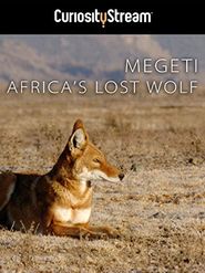 Africa's Lost Wolves Poster