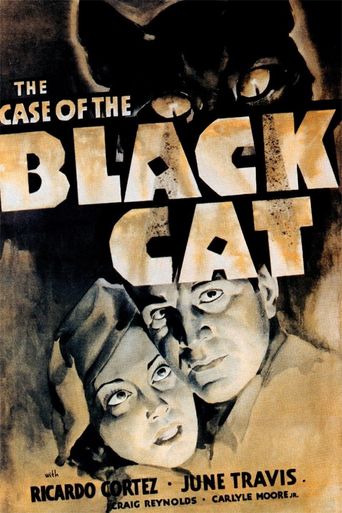  The Case of the Black Cat Poster
