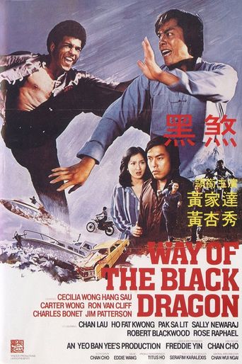 Way of the Black Dragon Poster