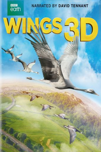  Wings 3D Poster