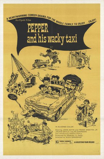 Wacky Taxi Poster