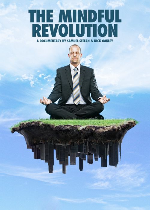 The Mindful Revolution (2016) Where to Watch and Stream Online Reelgood