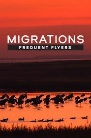  Migrations: Frequent Flyers Poster