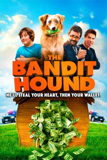  The Bandit Hound Poster