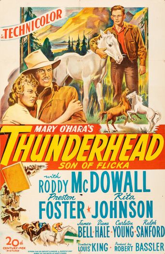  Thunderhead - Son of Flicka Poster