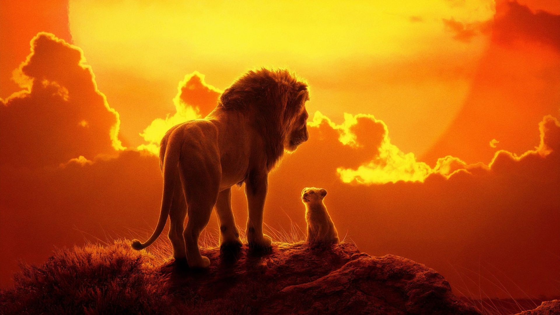 The Lion King Backdrop