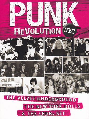  Punk Revolution NYC Poster