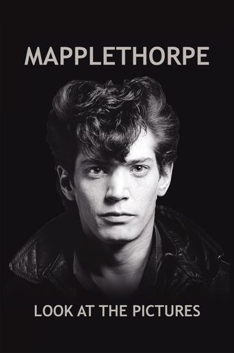 Mapplethorpe: Look at the Pictures Poster