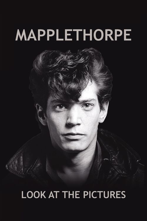 Mapplethorpe: Look at the Pictures Poster
