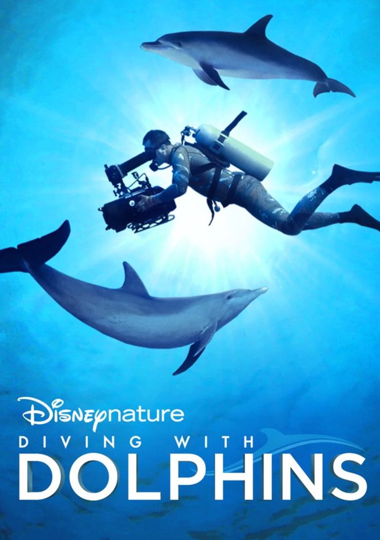 Diving with Dolphins Poster