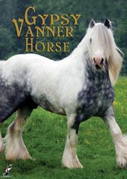  The Gypsy Vanner Horse Poster