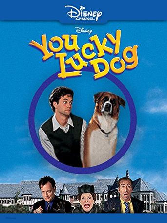  You Lucky Dog Poster