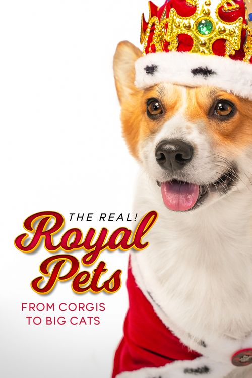 The Real Royal Pets From Corgis To Big Cats 2024 Where To Watch Poster 500 