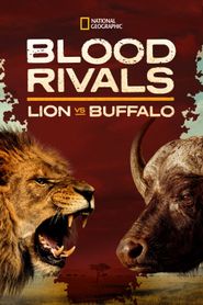  Blood Rivals: Lion vs Buffalo Poster