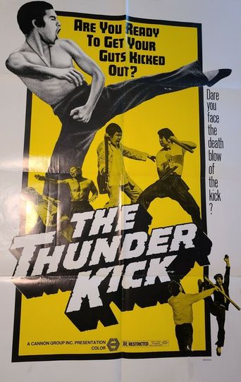  The Thunder Kick Poster