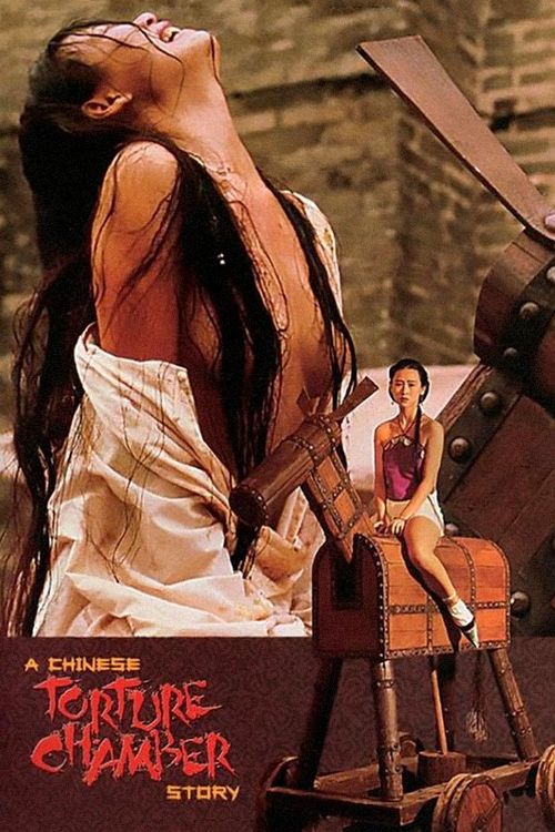A Chinese Torture Chamber Story Poster