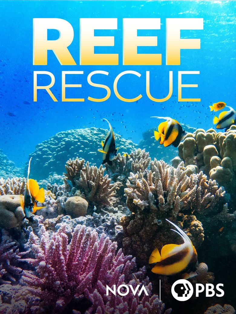 Reef Rescue Reef Rescue