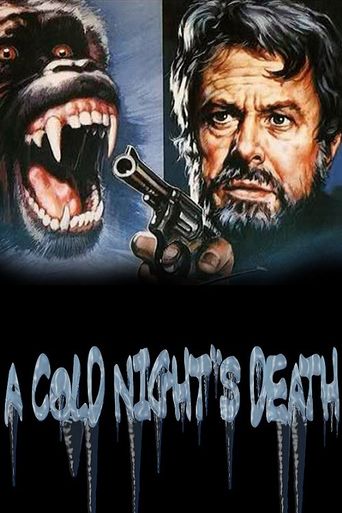  A Cold Night's Death Poster